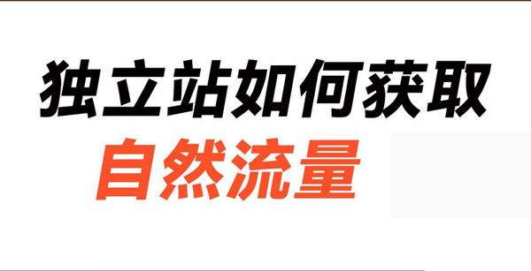 獨立站沒流量怎么辦？付費+免費方法大放送！