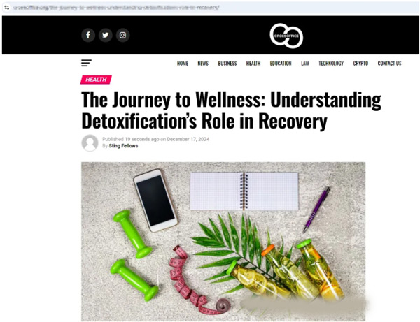 獨(dú)立站做了靜態(tài)頁(yè)面，網(wǎng)站實(shí)現(xiàn)流量增長(zhǎng)！