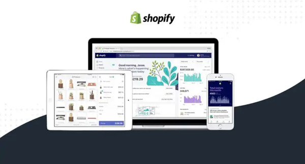 Shopify付費流量和免費流量的優(yōu)缺點對比