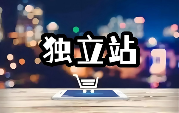 獨(dú)立站訪客100算高嗎？獨(dú)立站訪客多少算可以？