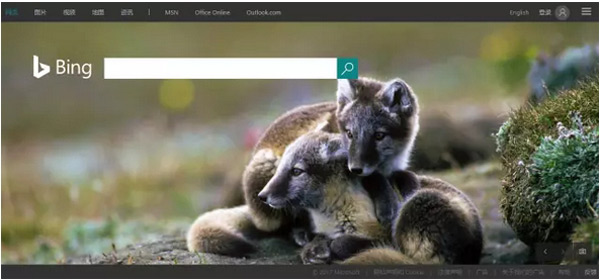 國外網站推廣，認準這十個平臺就夠了！